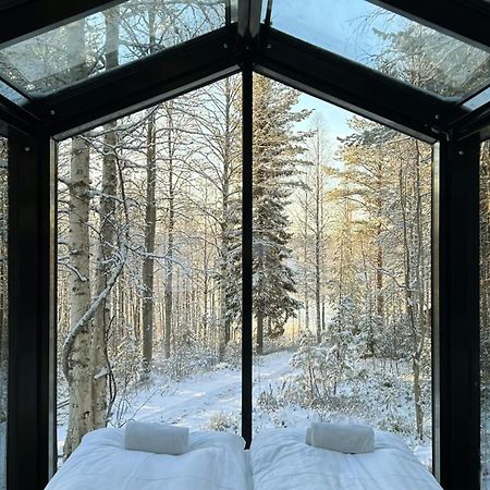 Sky Lodging ~ Sleeping Under The Stars Rovaniemi Dış mekan fotoğraf