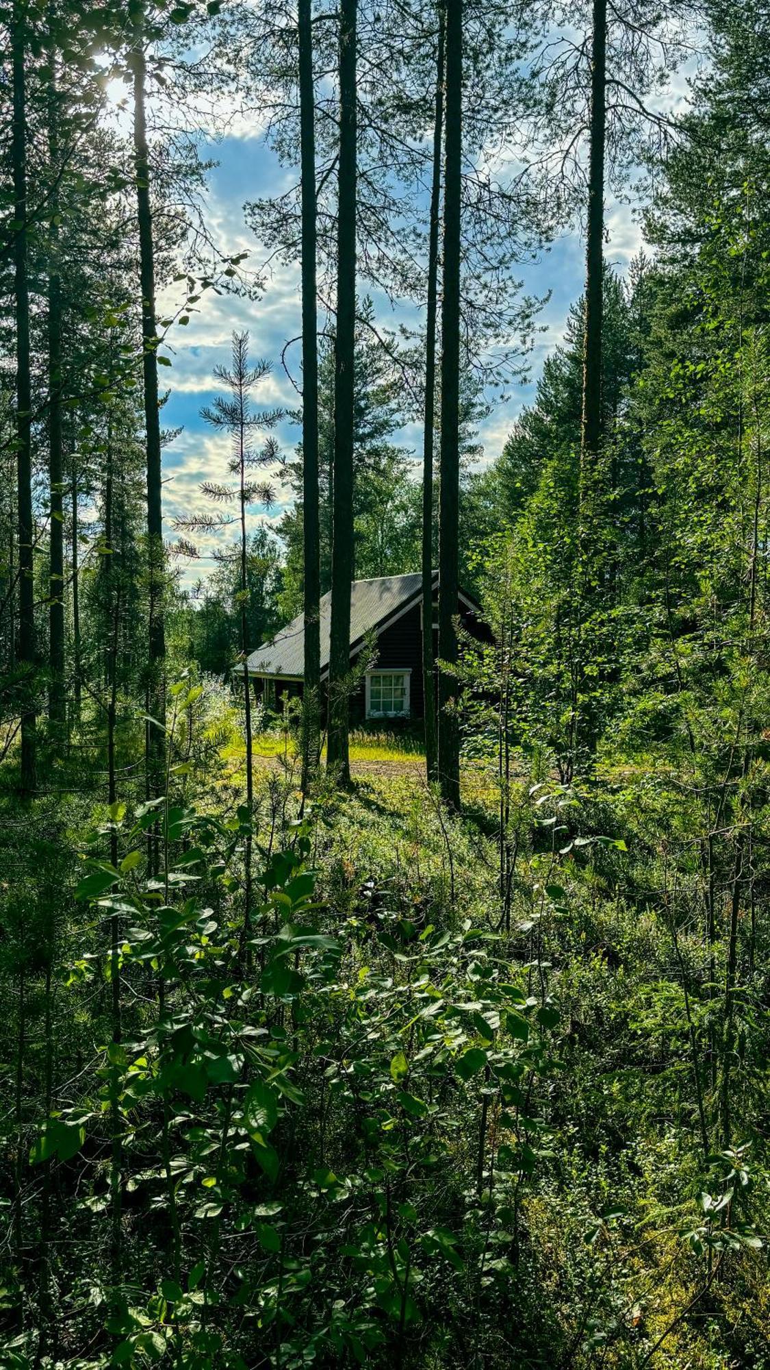 Sky Lodging ~ Sleeping Under The Stars Rovaniemi Dış mekan fotoğraf