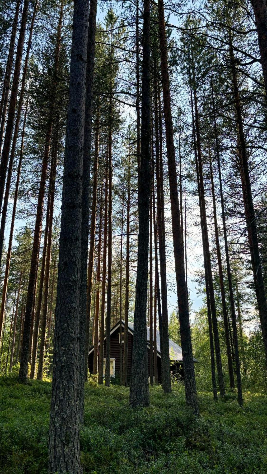Sky Lodging ~ Sleeping Under The Stars Rovaniemi Dış mekan fotoğraf