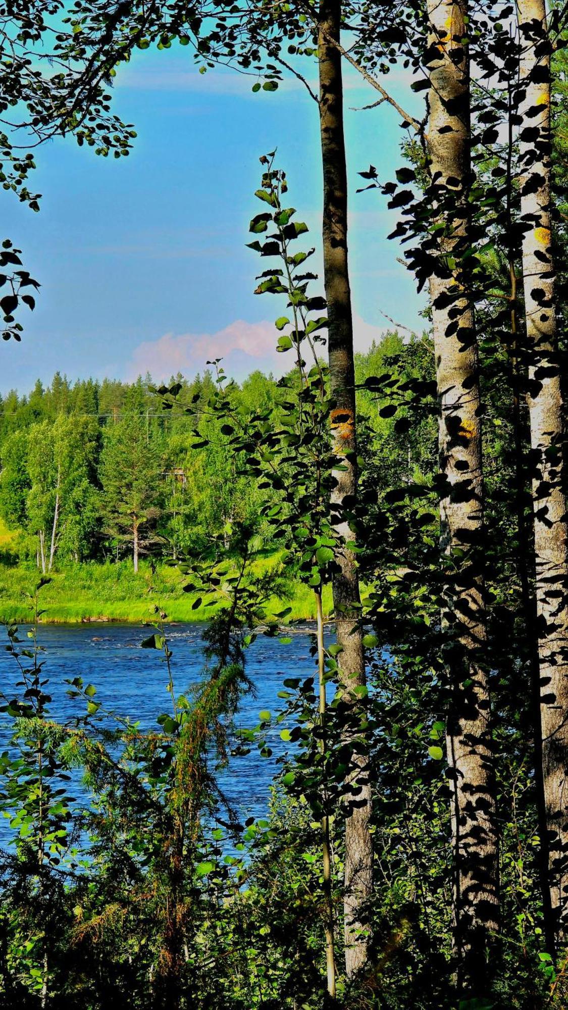 Sky Lodging ~ Sleeping Under The Stars Rovaniemi Dış mekan fotoğraf