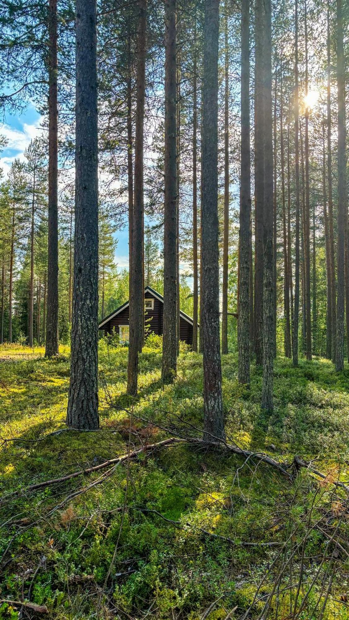 Sky Lodging ~ Sleeping Under The Stars Rovaniemi Dış mekan fotoğraf