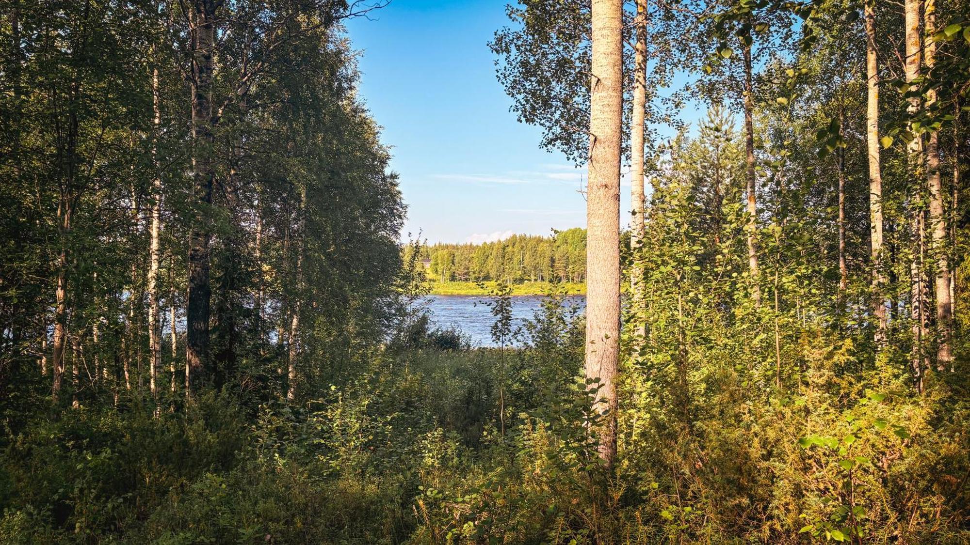Sky Lodging ~ Sleeping Under The Stars Rovaniemi Dış mekan fotoğraf