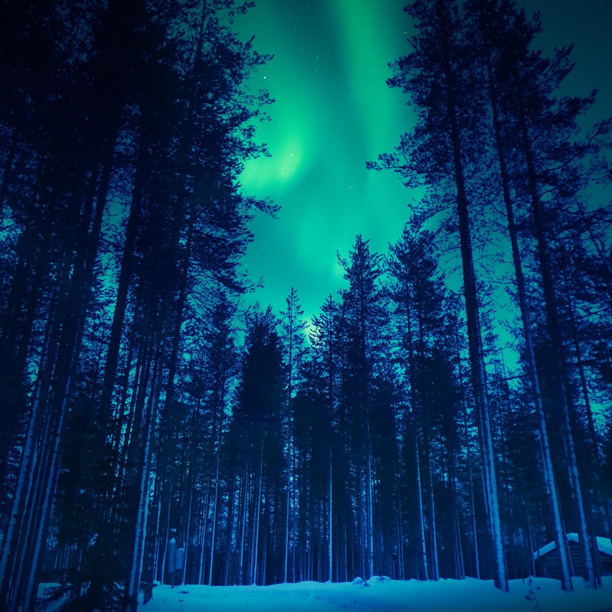 Sky Lodging ~ Sleeping Under The Stars Rovaniemi Dış mekan fotoğraf